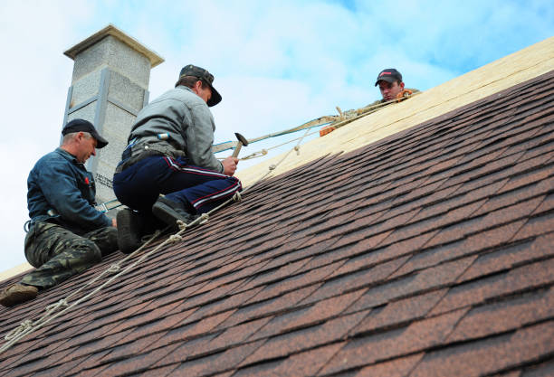 Best Storm Damage Roof Repair  in Grambling, LA